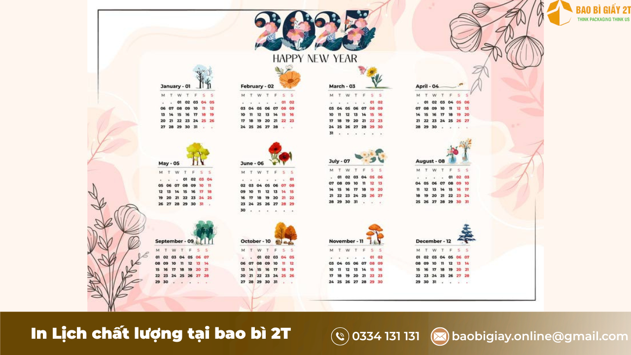 Ảnh Minh họa Công dụng 
