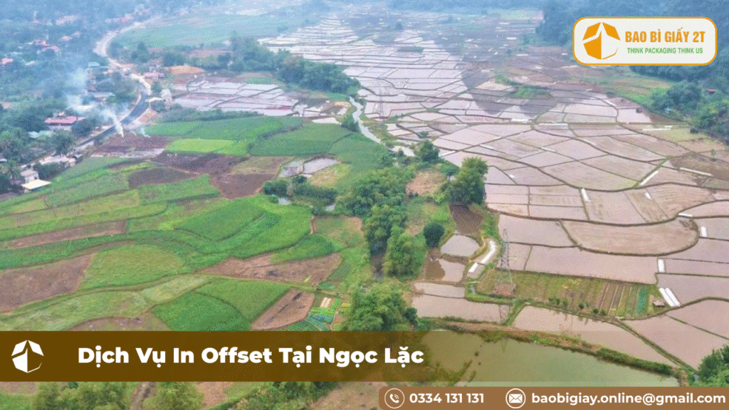 Dịch Vụ In Offset Tại Huyện Ngọc Lặc – Bao Bì 2T Uy Tín