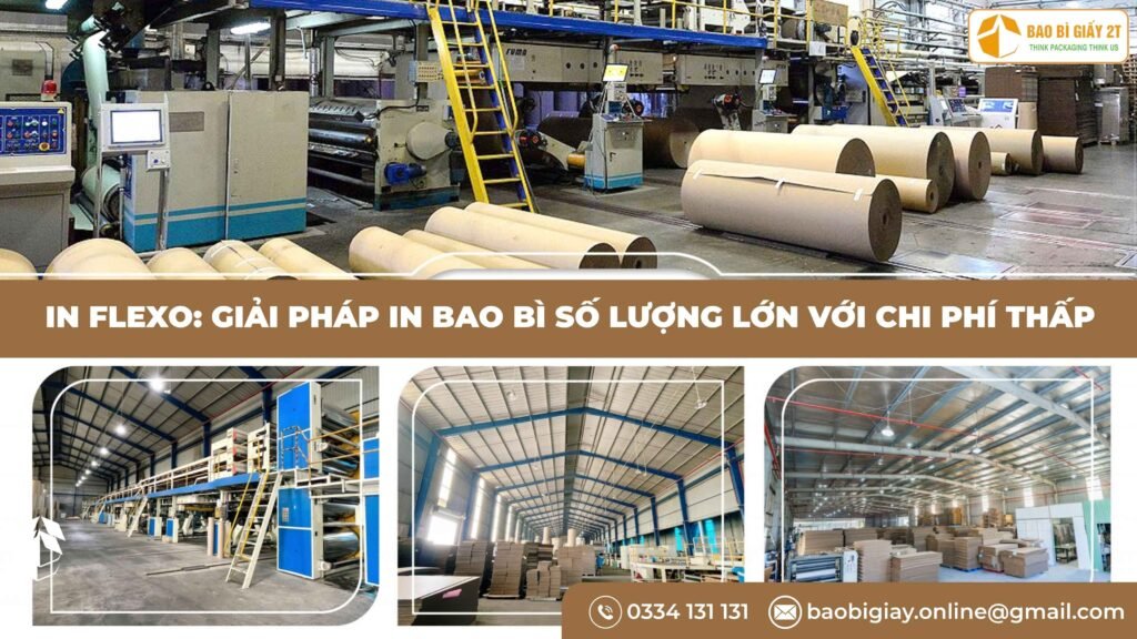 In Flexo: Giải pháp in bao bì số lượng lớn với chi phí thấp