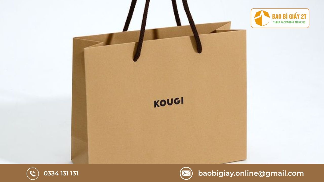 Các loại túi giấy đựng sách phổ biến hiện nay