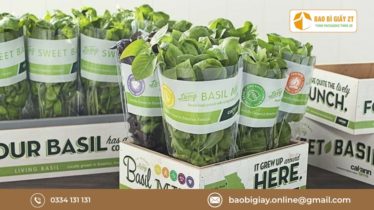 Câu hỏi thường gặp khi in túi giấy đựng thực phẩm tại Bao Bì 2T