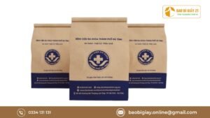 In túi giấy đựng dược phẩm