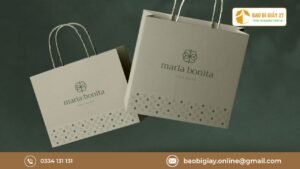 In túi giấy thời trang sang trọng cho shop quần áo