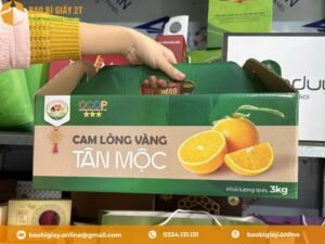 Hộp carton đựng cam Tân Mộc