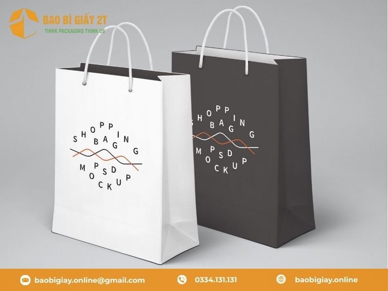 Túi giấy Ivory và Couche