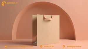 Bao Bì 2T – In Túi Giấy Đựng Giày Dép Sang Trọng