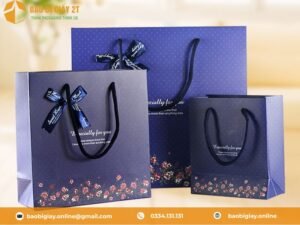 Túi giấy cao cấp