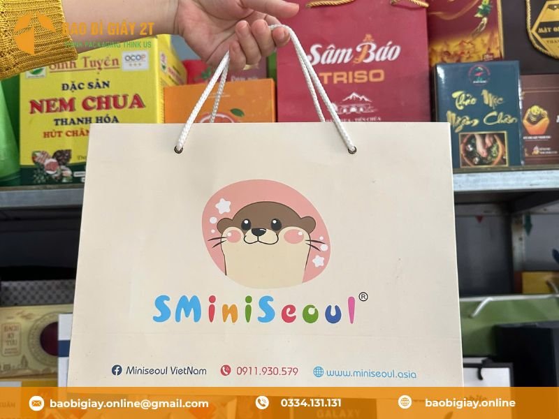 Túi giấy đựng đồ dùng mẹ và bé