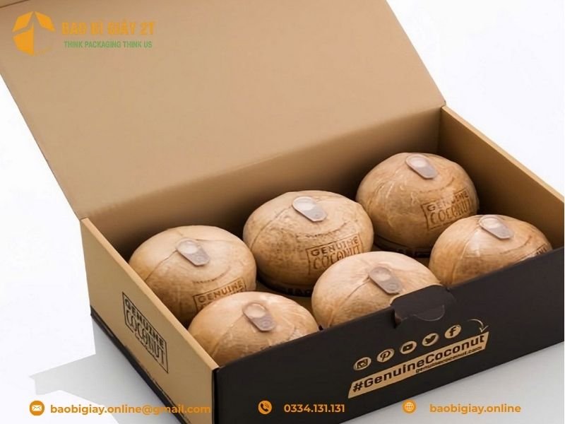 Quy cách thùng carton đựng dừa phục vụ đóng gói xuất khẩu