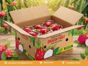 Quy trình 6 bước sản xuất thùng thanh long tại Bao Bì 2T