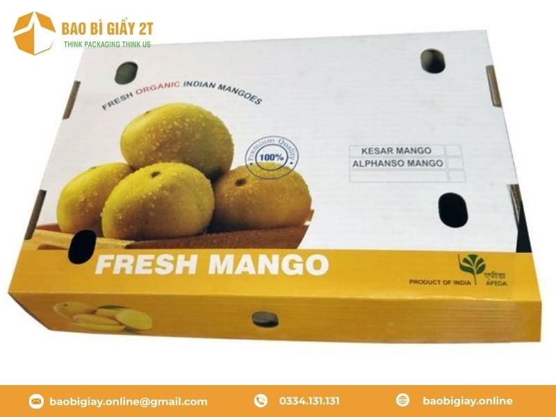 3 Tiêu chuẩn "Vàng" cho thùng xoài đi Container