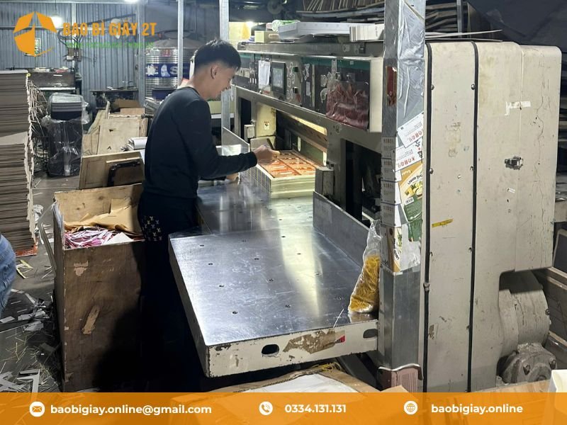 Xưởng in túi giấy 2T