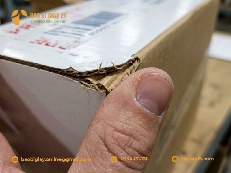 Cách kiểm tra lỗi bong keo và nứt mép hội giấy